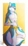  2019 anthro balls_outline blue_eyes blue_hair bulge canid canine canis clothing clyde_wolf cup digital_media_(artwork) domestic_dog fur grey_fur hair hi_res holding_cup holding_object husky hybrid looking_at_viewer male mammal multicolored_fur nordic_sled_dog simple_background smile solo spitz standing underwear white_fur wolf yellow_clothing yellow_underwear 