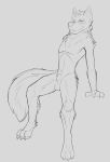 2019 4_fingers animal_genitalia anthro balls canid canine canis claws clyde_wolf digital_media_(artwork) digitigrade fur greyscale hair hi_res looking_at_viewer male mammal monochrome nude paws sheath simple_background sitting smile solo wolf 