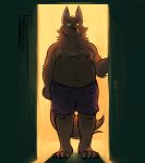 2015 ask_the_werewolves boxers_(clothing) brown_fur canid canine canis clothing duran_(atw) fur jd_laclede male mammal night orange_eyes orange_sclera overweight overweight_male solo underwear were werecanid werecanine werewolf wolf 
