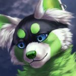  1:1 2019 ailurid aurru black_fur blue_eyes digital_media_(artwork) ear_piercing ear_ring fur green_fur green_nose headshot_portrait icon low_res mammal piercing portrait red_panda smile solo white_fur 