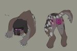 after_sex anal_prolapse anus canid canine duo ear_piercing ear_ring eyewear featureless_crotch felid feline feral fur hybrid male mammal piercing prolapse puppyratcat questionable_consent raised_tail ring_piercing simple_background tail through_wall xog