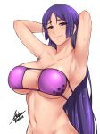  1girl airisubaka armpits arms_up artist_name bangs bikini blush breasts closed_mouth collarbone english_commentary eyebrows_visible_through_hair eyepatch_bikini fate/grand_order fate_(series) highres large_breasts long_hair looking_at_viewer midriff minamoto_no_raikou_(fate/grand_order) minamoto_no_raikou_(swimsuit_lancer)_(fate) navel parted_bangs purple_bikini purple_hair shiny shiny_hair shiny_skin signature simple_background solo swimsuit very_long_hair wet wet_hair 