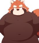  2019 96tning ailurid anthro belly blush fur male mammal moobs navel overweight overweight_male red_fur red_panda simple_background solo white_background yellow_eyes 