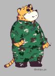  2019 anthro bottomwear clothing eddga_go felid humanoid_hands male mammal overweight overweight_male pantherine pants shirt simple_background solo tiger topwear 