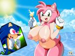  4:3 amy_rose breasts eulipotyphlan female hedgehog hi_res looking_at_viewer mammal nipples outside sonic_(series) sonic_the_hedgehog the_knight 
