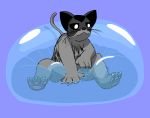  bounce bubble digital_media_(artwork) domestic_cat felid feline felis hi_res mammal playing skeletorskeletonized solo squeezing squish 
