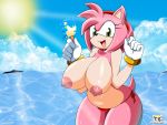  4:3 amy_rose breasts eulipotyphlan female hedgehog hi_res looking_at_viewer mammal nipples outside solo sonic_(series) the_knight 