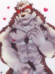  abs accessory anthro bearp_(artist) biceps brown_fur canid canine canis censored fur headband hi_res male mammal mosaic_censorship multicolored_fur muscular muscular_male nipples pecs penis red_eyes simple_background solo tokyo_afterschool_summoners triceps two_tone_fur video_games volkv_vseslav white_fur wolf 