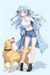  1girl absurdres bang_dream! bang_dream!_it's_mygo!!!!! bare_legs black_boots black_ribbon blue_hair blue_jacket blue_shorts boots breasts cleavage collar collarbone commentary crop_top dog full_body golden_retriever hair_ribbon highres holding holding_leash jacket leaning_forward leash long_sleeves navel ribbon shorts simple_background togawa_sakiko two_side_up xiongji_z_z yellow_eyes 