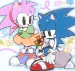  1girl amy_rose animal_ears animal_nose black_eyes classic_amy classic_sonic closed_mouth flower furry furry_female furry_male gloves green_shirt hairband half-closed_eyes hashtag-only_commentary holding holding_flower junero71 orange_skirt pink_fur puffy_sleeves purple_shoes red_hairband red_shoes rock shirt shoes sitting skirt smile sonic_(series) sonic_the_hedgehog sonic_the_hedgehog_(classic) standing sweat tail white_gloves 