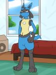  2019 3_fingers 3_toes animated anthro bed briefs bulge clothed clothing embarrassed front_view fuze hi_res inside looking_at_viewer lucario male nintendo pants_down partially_clothed pok&eacute;mon pok&eacute;mon_(species) red_eyes solo standing surprise tighty_whities toes underwear undressing video_games wardrobe_malfunction window 