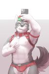  2:3 5_fingers abs absurd_res anthro biceps bulge canid canine canis cellphone clothing collar domestic_dog front_view fur green_hair grey_background grey_ears grey_eyes grey_fur grey_tail hair hat headgear headwear hi_res humanoid_hands husky male mammal multicolored_fur multicolored_tail navel nipples nordic_sled_dog pecs phone pink_nipples pink_tongue red_clothing red_collar red_underwear simple_background solo spitz tongue tongue_out underwear white_background white_tail 埃亞_(artist) 