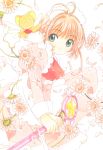  card_captor_sakura clamp deletethistag kerberos kinomoto_sakura possible_duplicate tagme 