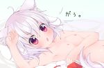  1girl :o absurdres animal_ear_fluff animal_ears armpits breasts chinoru commentary_request hat hat_removed headwear_removed highres inubashiri_momiji looking_at_viewer lying nipples on_back purple_eyes short_hair small_breasts tail tokin_hat touhou v-shaped_eyebrows white_hair wolf_ears wolf_tail 