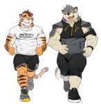  2019 anthro canid canine canis clothed clothing digital_media_(artwork) duo felid fur male mammal muscular muscular_male pantherine rossciaco simple_background tiger wolf 