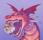  2026 anthro anthro_prey black_eyebrows black_nose blue_background bluestripedrenulian bodily_fluids canid canine cheek_spikes clenched_teeth dragon dragon_(shrek) dreamworks duo european_mythology eyebrows eyelashes facial_spikes fangs female female_feral female_pred feral feral_pred fur green_eyes green_sclera hi_res horn in_mouth larger_female larger_feral lips looking_back looking_down male male_prey mammal multicolored_body multicolored_fur multicolored_scales mythological_creature mythological_scalie mythology one_eye_closed oral_vore orange_body orange_ears orange_fur pink_body pink_scales pupils purple_body purple_horn purple_scales purple_tongue red_body red_eyes red_horn red_lips red_scales saliva saliva_on_tongue scales scalie sharp_teeth shrek_(series) simple_background size_difference slit_pupils smaller_anthro smaller_male snout spikes spikes_(anatomy) teeth tongue tongue_around_body two_tone_body two_tone_fur vore western_dragon white_body white_fur white_inner_ear 