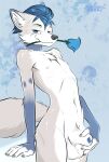  animal_genitalia animal_penis anthro arched_back big_sheath blue_eyes blue_hair canid canine canine_genitalia canine_penis claws flower fox genitals hair hi_res long_sheath male mammal nipples penis penis_tip plant ribs rose_(flower) sheath skinny slim solo standing xleb0rezka 