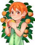  1girl aged_down bare_arms bare_shoulders blush closed_mouth commentary dress food fruit green_dress holding holding_food holding_fruit looking_at_viewer mandarin_orange nami_(one_piece) one_piece orange_eyes orange_hair orange_tree pandar_op short_hair smile solo untranslatable_commentary upper_body white_background 