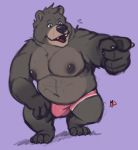  2019 anthro belly black_fur bulge clothing fur humanoid_hands male mammal minedoo moobs navel nipples overweight overweight_male simple_background solo underwear ursid 