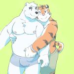  1:1 2017 anthro belly bulge clothing duo felid green_background hug hugging_from_behind humanoid_hands male male/male mammal moobs navel nipples numpia overweight overweight_male pantherine pink_nose polar_bear simple_background tiger underwear ursid ursine 