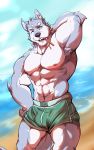  2019 abs anthro armpit_hair beach biceps canid canine canis clothing digital_media_(artwork) fur hi_res icecreamtiger male mammal muscular muscular_male nipples outside pecs seaside sky solo summer swimwear water wolf 