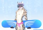  anthro briefs bulge clothing eyewear felid goggles hi_res male mammal navel pantherine shiuk simple_background snow_leopard snowboard solo standing underwear 