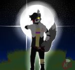  bioluminescence canid canine canis far_away_from_home glowing kaiser_leon(ka) kaiserart male mammal night scar smile solo star wolf 