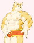  2019 abs anthro biceps bulge canid canine canis clothing digital_media_(artwork) domestic_dog fur male mammal meg_hoi muscular muscular_male nipples pecs 