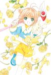  card_captor_sakura clamp deletethistag kerberos kinomoto_sakura possible_duplicate tagme 