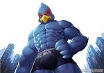  anthro avian boxer_briefs bulge city clothing falco_lombardi hi_res looming low-angle_view macro male nintendo solo star_fox underwear video_games wolfmalro 