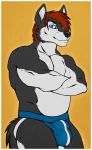  2014 anthro biceps biped black_eyebrows black_fur black_tail blue_clothing blue_eyes blue_underwear border bulge canid canine canis clothed clothing digital_media_(artwork) eyebrows front_view fur hair hi_res hom.nom.nom jockstrap looking_at_viewer male mammal multicolored_fur musclegut muscular muscular_male orange_background pecs portrait red_hair short_hair signature simple_background solo standing storm_(stormwx_wolf) three-quarter_portrait topless two_tone_fur underwear white_border white_fur wolf 