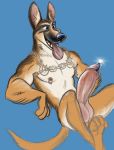  aerosaur83 anthro balls canid canine canis chain domestic_dog erection genital_piercing german_shepherd harness herding_dog hi_res male mammal muscular muscular_male nipples pastoral_dog penis penis_piercing piercing prince_albert_piercing solo spread_legs spreading tongue 