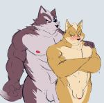  2019 abs anthro balls blush canid canine canis duo eye_patch eyewear flaccid foreskin fox fur hi_res humanoid_penis male male/male mammal muscular muscular_male nintendo nipples penis radcanine star_fox video_games wolf wolf_o&#039;donnell 