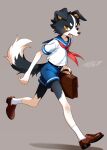  1boy bag belt belt_buckle black_belt black_fur blue_sailor_collar blue_shorts body_fur border_collie brown_shoes buckle child commentary dog dog_boy fangs furry furry_male grey_background handbag highres holding holding_bag loafers looking_at_viewer male_focus neckerchief netiel open_mouth original penny_loafers petite red_neckerchief running sailor sailor_collar sailor_shirt school_bag school_uniform serafuku shirt shoes short_shorts short_sleeves shorts signature skinny slim_legs socks tail white_fur white_socks wind yellow_eyes 