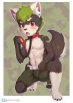  2019 4_toes absurd_res anthro barefoot black_fur black_nose black_tail blush bulge claws collar cub fur green_fur green_hair hair hi_res kemono looking_at_viewer male open_mouth red_eyes ritorutaiga signature solo toe_claws toes two_tone_tail white_fur white_tail young 