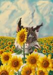  2026 absurd_res anthro black_body black_ears black_fur blue_eyes brown_body brown_ears brown_fur domestic_cat felid feline felis flower flower_field fur fur_markings halfbaked-hope hi_res maine_coon mammal markings multicolored_ears outside pink_inner_ear plant solo striped_markings stripes sunflower sunflower_field two_tone_ears white_body white_ears white_fur 