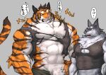 2018 abs amber_eyes anthro barazoku biceps big_muscles big_pecs black_clothing black_shirt black_topwear blue_body blue_eyes blue_fur blue_inner_ear bodily_fluids brown_inner_ear brown_stripes canid captainjohkid claws clenched_teeth clothed clothed_anthro clothed_male clothing countershade_arms countershade_face countershade_fur countershade_hands countershade_neck countershade_torso countershading dialogue digital_drawing_(artwork) digital_media_(artwork) duo emanata facial_markings felid finger_claws front_view fur furrowed_eyebrows grey_background grey_body grey_fur half-length_portrait hand_on_hip hand_on_own_hip head_markings head_tuft japanese_text looking_down looking_down_at_another looking_up_at_another male mammal markings muscular muscular_anthro muscular_male nervous nervous_sweat orange_body orange_fur pantherine pecs pointy_ears portrait shirt simple_background snout speech_bubble striped_arms striped_face striped_markings striped_tail striped_torso stripes sweat sweaty_face tail tail_markings talking_to_another teeth text tiger tight_clothing tight_topwear topwear torn_clothing torn_topwear translation_request tuft whiskers white_body white_countershading white_fur white_sclera