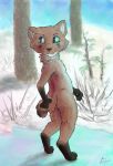  2019 alex_randomkat anthro blue_eyes butt canid canine cub detailed_background digital_media_(artwork) fox fur hi_res looking_back male mammal multicolored_fur nude outside solo standing young 