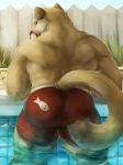  2016 anthro blue_eyes butt clothed clothing cougar day felid feline fur grass hi_res looking_at_viewer looking_back male mammal outside partially_submerged pink_nose raised_tail ralphthefeline rear_view red_clothing red_swimwear smile solo swimming_pool swimwear tan_fur tight_clothing topless water 
