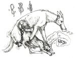 2026 3_legs ambiguous_gender ambiguous_penetrated ambiguous_penetration anatomically_correct anatomically_correct_genitalia anatomically_correct_penis animal_genitalia animal_penis balls canid canine canine_genitalia canine_penis canis claws cutaway domestic_cat domestic_dog duo english_text erection expansion expansion_while_penetrating felid feline felis feral feral_on_feral feral_penetrated feral_penetrating feral_penetrating_feral from_behind_position genital_growth genitals growth hi_res internal interspecies knot knotted_penis knotting large_penetration male male/ambiguous male_penetrating male_penetrating_ambiguous mammal missing_leg mixed_breed monochrome mounting paws pen_(artwork) penetration penile penile_penetration penis penis_growth regsmutt rope sex side_view simple_background size_difference sketchy smaller_penetrated speech_bubble text thought_bubble traditional_media_(artwork) white_background