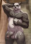 anthro balls bathing bear big_penis biped black_body black_fur foreskin fur genitals giant_panda green_eyes hand_behind_head hi_res humanoid_genitalia humanoid_penis male mammal multicolored_body multicolored_fur musclegut muscular muscular_anthro muscular_male nelly63 nude_male pecs penis shower showering smile solo standing suds water wet white_body white_fur