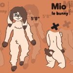  1:1 ambiguous_gender anthro brown_hair digital_media_(artwork) eyewear fluffy glasses hair hair_bun hi_res lagomorph leporid mammal model_sheet peteria rabbit solo 