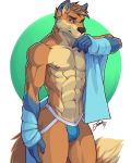  2019 5_fingers anthro athletic black_nose blue_skin brown_hair brown_skin bulge canid canine clothed clothing eyebrows feralise fox gloves_(marking) green_eyes hair jockstrap looking_at_viewer male mammal markings multicolored_skin muscular nipples simple_background smile solo standing topless two_tone_skin underwear 