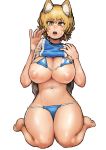  1girl absurdres animal_ear_fluff animal_ears bangs bare_arms bare_legs barefoot bikini bikini_lift bikini_under_clothes blonde_hair breasts brown_eyes chanta_(ayatakaoisii) clothes_lift eyebrows_visible_through_hair fox_ears full_body hands_up highres large_breasts lifted_by_self looking_at_viewer navel nipples no_tail open_mouth seiza shirt short_hair simple_background sitting slit_pupils solo stomach sweat swimsuit tabard touhou white_background yakumo_ran 