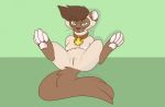  2017 anthro breasts brown_fur clitoris collar domestic_cat eyewear felid feline felis female fur glasses green_eyes gremm looking_at_viewer mammal nipples pawpads pussy siamese sitting solo spread_legs spreading tea_(gremm) 