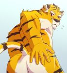  abs blush butt colored felid invalid_tag jacklantern_11 looking_at_viewer male mammal muscular nude pantherine pecs presenting presenting_hindquarters simple_background solo tiger 
