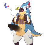  &lt;3 accordion alpha_channel anthro avian balls big_penis bird blue_feathers breath_of_the_wild clothed clothing feathers hi_res kass_(tloz) lightningfire12 male musical_instrument musical_note nintendo penis rito solo the_legend_of_zelda vein video_games 