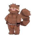  2019 anthro belly blush brown_fur bulge clothing cute_fangs fur guardians_of_the_galaxy humanoid_hands jockstrap male mammal marvel moobs navel nipples overweight overweight_male procyonid raccoon rocket_raccoon shyybuchi simple_background solo underwear white_background 