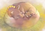  2019 brown_fur canid canine duo eyes_closed feral fur mammal raccoon_dog sleeping tagawa_mi tanuki 
