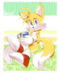 aogirinaru canid canine fox hi_res invalid_color invalid_tag mammal miles_prower sonic_(series) tails_(disambiguation) 